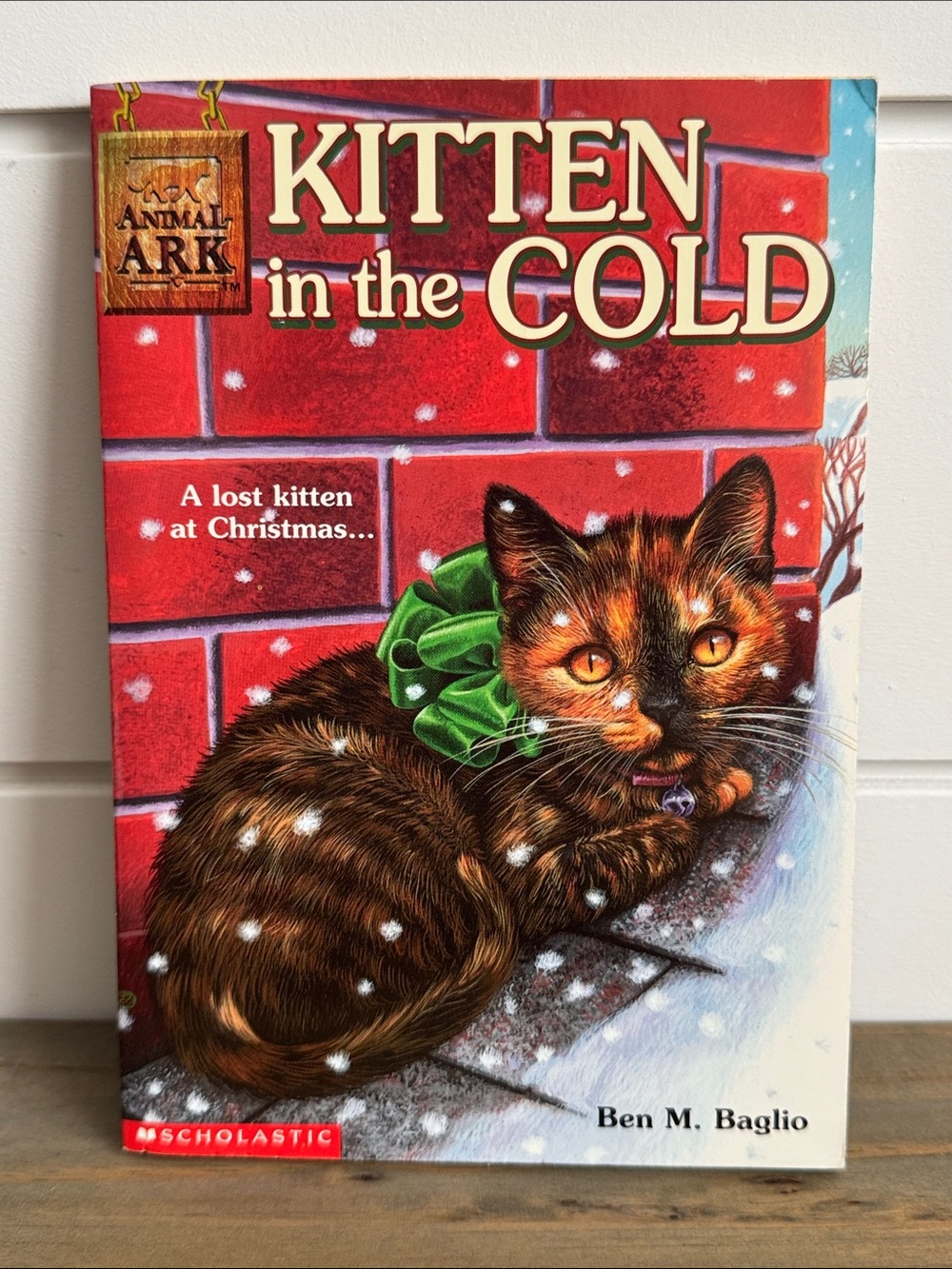 Animal Ark #13: Kitten in the Cold - Vintage Scholastic Paperback Novel